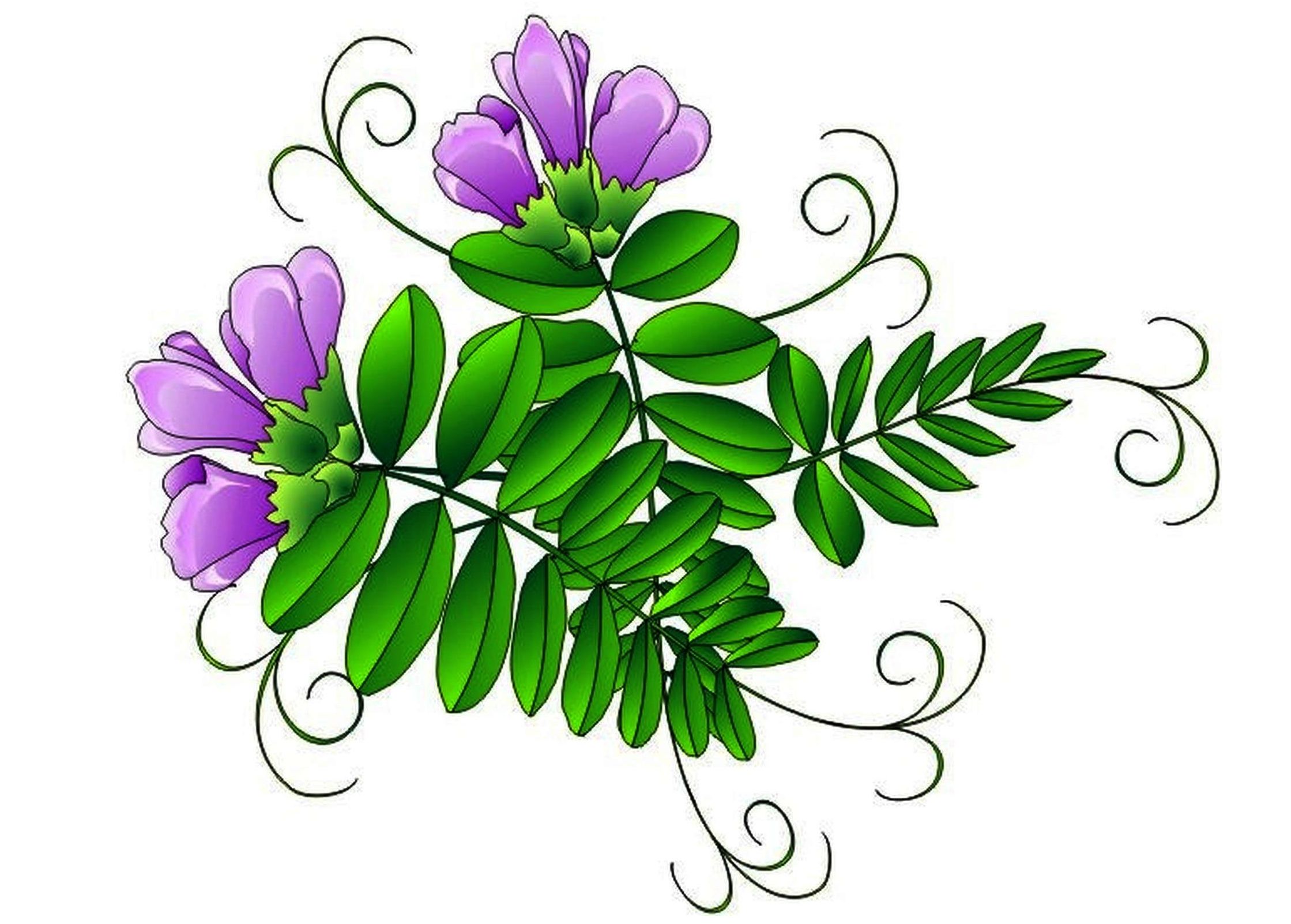 Зелень